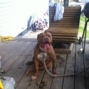 Meet your Posher, Johnny